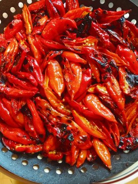 Pepper - Paper Lantern Habanero IMG_20241015_182801924.jpg