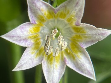 IMG_9208.jpeg