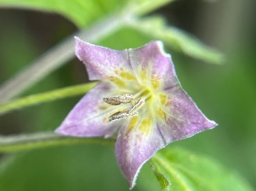 IMG_9216.jpeg