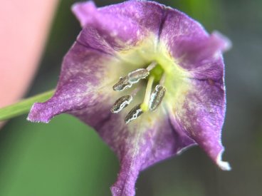 IMG_9226.jpeg