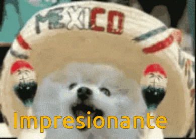 impresionante.gif