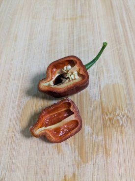 PXL_20251018_181149575.jpg PXL_20251018_181149575.jpg