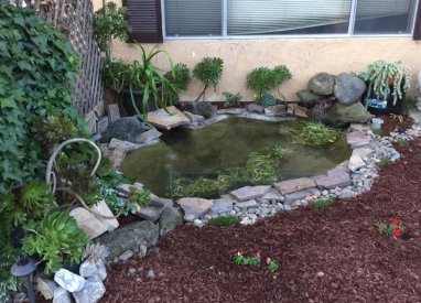 pond.jpg