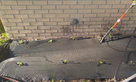 20160418_182703.jpg
