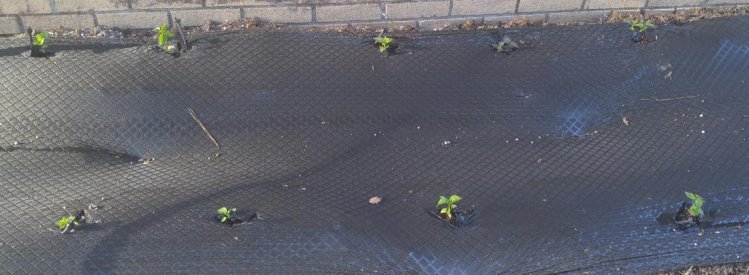20160418_182719.jpg