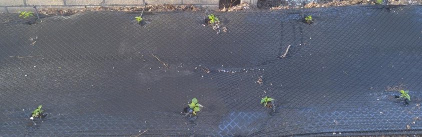 20160418_182751.jpg
