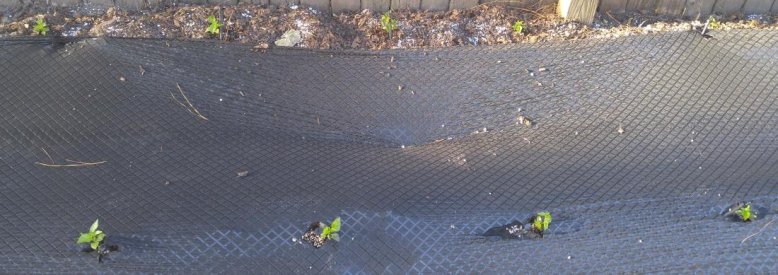 20160418_182810.jpg
