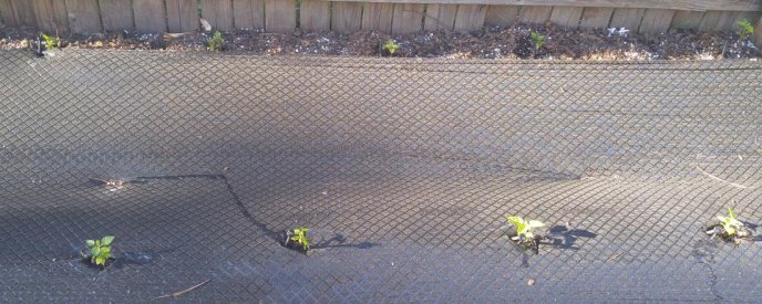 20160418_182830.jpg