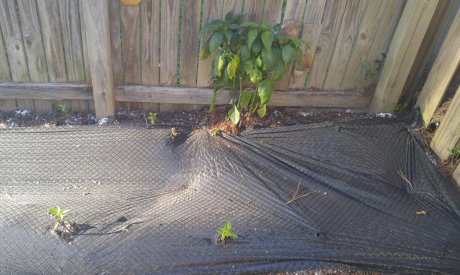 20160418_182847.jpg