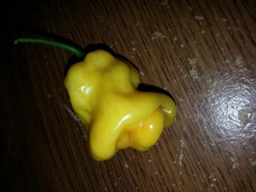 20160926_185021.jpg