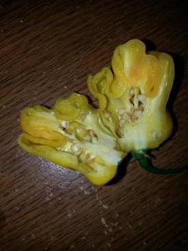 20160926_200448.jpg