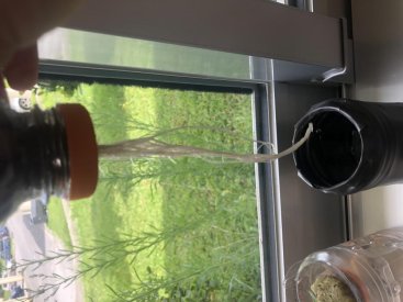 C5821713-1E99-4939-AD89-89C9F60F92F8.jpeg