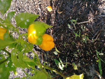 20181015_170104_resized.jpg