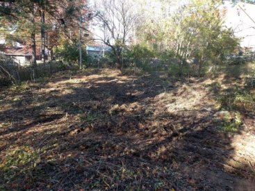 Yard-After2.jpg