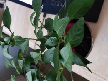 20190818_154414.jpg