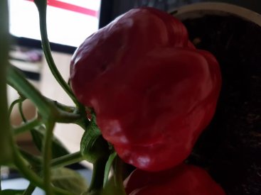 20190818_154431.jpg