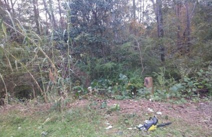 IMG_20201108_164418033.jpg
